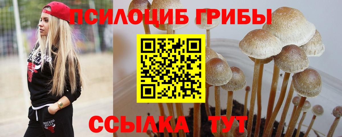 Галлюциногенные грибы Cubensis  Вход с VPN  Лянтор  Галлюциногенные грибы мухоморы 