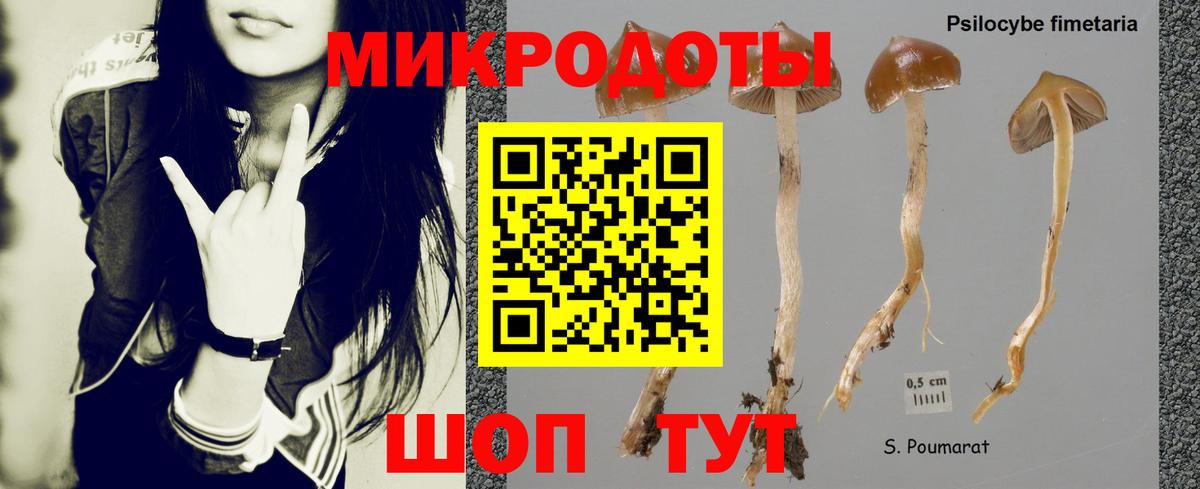 Галлюциногенные грибы Cubensis Лянтор